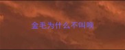 金毛为什么不叫唤