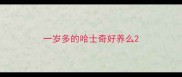 一岁多的哈士奇好养么