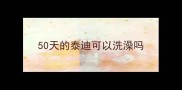 50天的泰迪可以洗澡吗