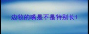 边牧的嘴是不是特别长