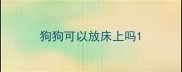 狗狗可以放床上吗