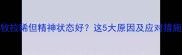 边牧拉稀但精神状态好这5大原因及应对措施全
