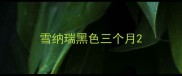 雪纳瑞黑色三个月
