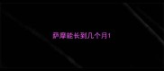 萨摩能长到几个月