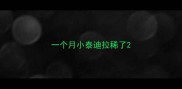 一个月小泰迪拉稀了