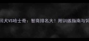 金毛寻回犬VS哈士奇智商排名大附训练指南与饲养建议