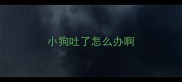 小狗吐了怎么办啊