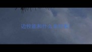 边牧能和什么串好看