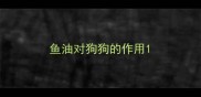 鱼油对狗狗的作用