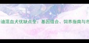 土狗与泰迪混血犬优缺点全基因组合饲养指南与市场前景