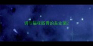 调节猫咪肠胃的益生菌