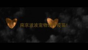 南京波波宠物诊所疫苗
