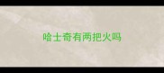 哈士奇有两把火吗