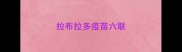 拉布拉多疫苗六联