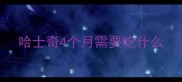 哈士奇4个月需要吃什么