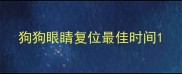 狗狗眼睛复位最佳时间