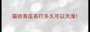猫绝育疫苗打多久可以洗澡