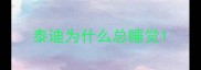 泰迪为什么总睡觉
