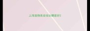 上海宠物美容培训哪家好