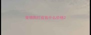 宠物狗打疫苗什么价格