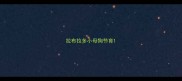 拉布拉多小母狗节育