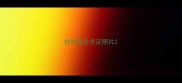 拉布拉多犬证照片