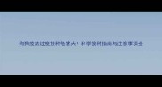 狗狗疫苗过度接种危害大科学接种指南与注意事项全
