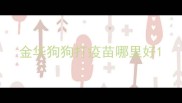 金华狗狗打疫苗哪里好