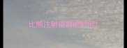 比熊注射疫苗的时间