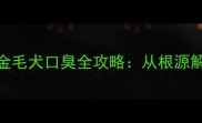 黄金护理指南科学应对金毛犬口臭全攻略从根源解决口臭烦恼的5大方法
