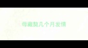 母藏獒几个月发情
