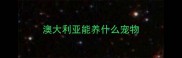 澳大利亚能养什么宠物