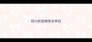 四川的宠物美容学校