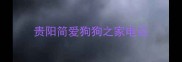贵阳简爱狗狗之家电话