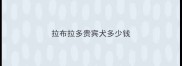 拉布拉多贵宾犬多少钱