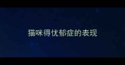 猫咪得忧郁症的表现