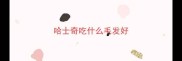 哈士奇吃什么毛发好