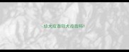 幼犬疫苗狂犬疫苗吗