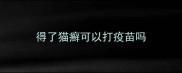 得了猫癣可以打疫苗吗