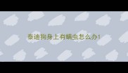 泰迪狗身上有螨虫怎么办
