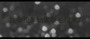 拉布拉多幼犬换毛现象