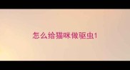 怎么给猫咪做驱虫