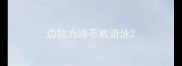 边牧为啥不敢游泳