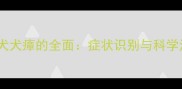 边境牧羊犬犬瘴的全面症状识别与科学治疗方案