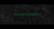 贵阳宠物学校哪家好
