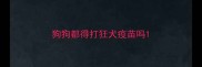 狗狗都得打狂犬疫苗吗