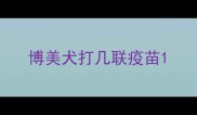 博美犬打几联疫苗
