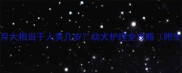 格力幼犬2个月大相当于人类几岁幼犬护理全攻略附生长周期表