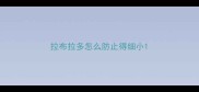 拉布拉多怎么防止得细小