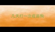 几天打一次疫苗狗